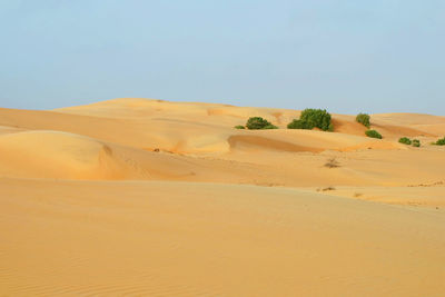 Scenic view of desert against clear sky