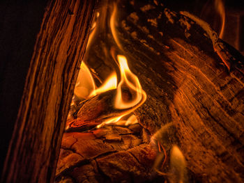 Close-up of bonfire