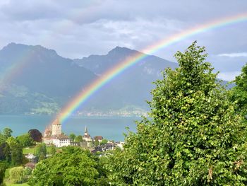 Scenic view of rainbow over trees against sky