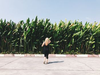 Rear view of woman standing on road against plants