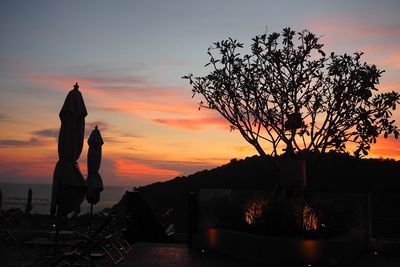 Silhouette tree against orange sky during sunset