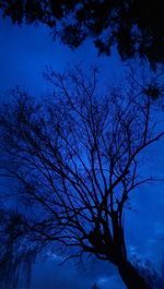 Low angle view of bare trees against sky