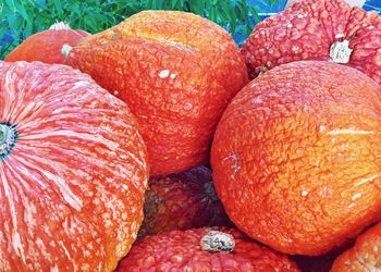 Full frame shot of oranges