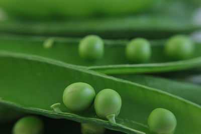 Close-up of green peas