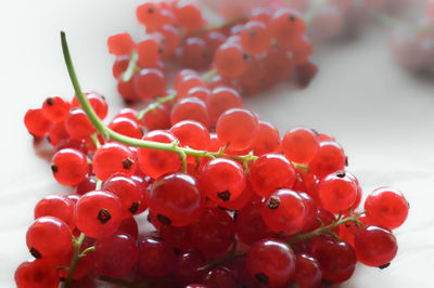 Close-up of grapes on white background