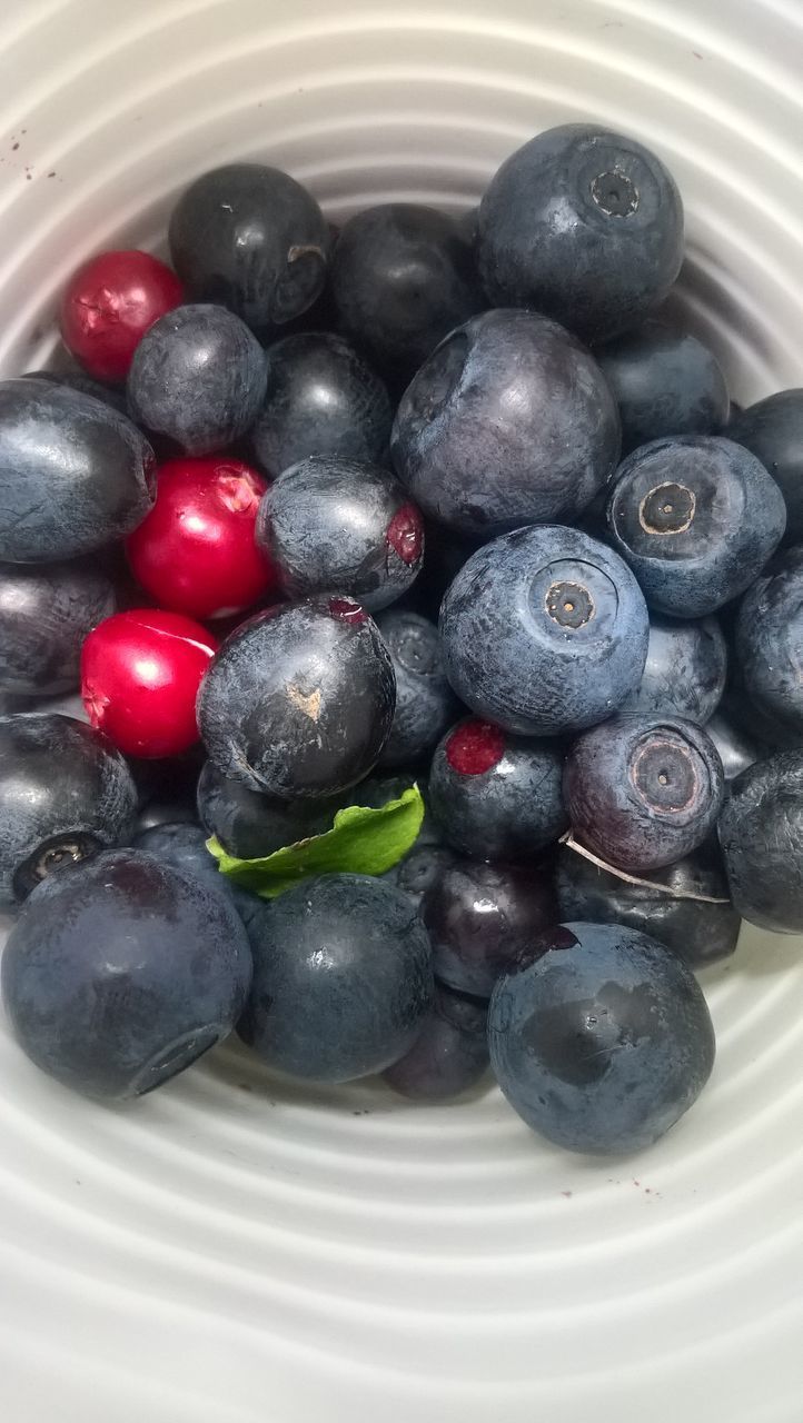 HIGH ANGLE VIEW OF BLACK GRAPES