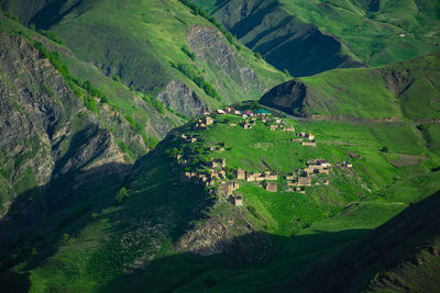 High angle view of agricultural field