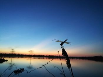 Scenic view of lake against sky during sunset
