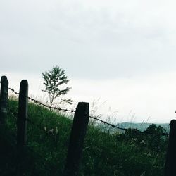 Wooden post against clear sky