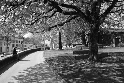 View of canal along trees in city