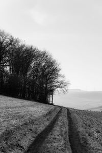 Bare trees on field against sky during winter