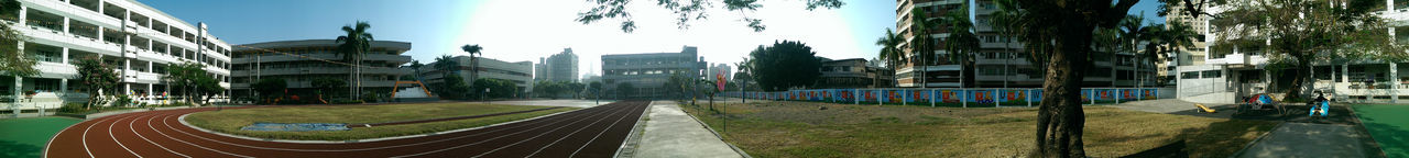 Empty road along trees in city