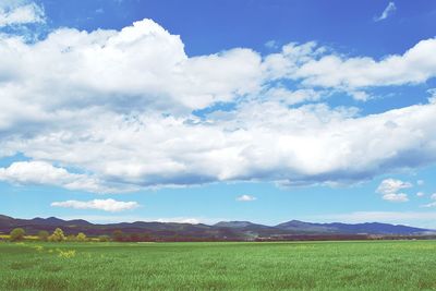 Scenic view of field against cloudy sky