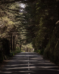 Empty road amidst trees in forest