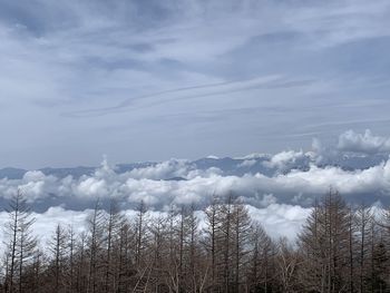 Scenic view of snow covered land against sky