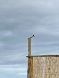 Low angle view of wooden post against sky