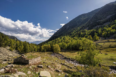 Scenic view of landscape against sky