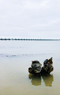 Rocks in sea against sky