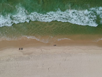 Aerial view of beach