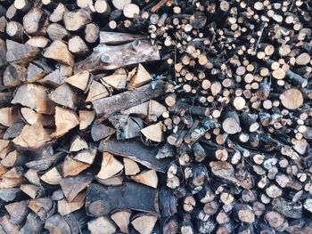 Full frame shot of logs