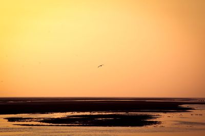 Bird flying over sea against orange sky