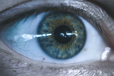 Close-up portrait of human eye