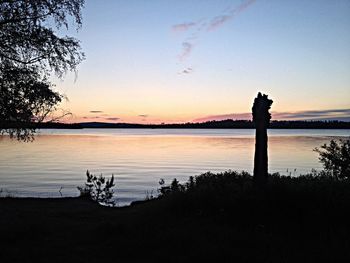 Silhouette of trees at sunset