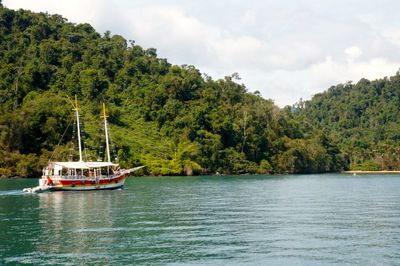 Boat moored on sea against trees