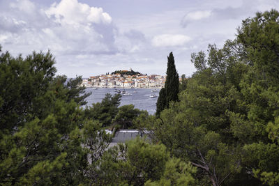 Panoramic view of trees and buildings against sky