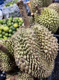 durian