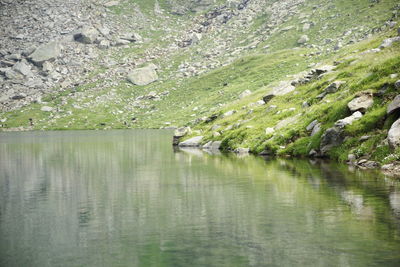 Scenic view of lake