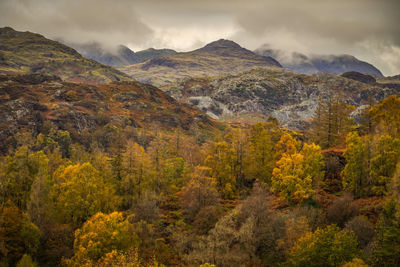 Scenic view of mountains during autumn