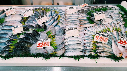 Close-up of fish for sale