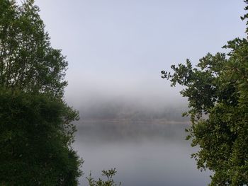 Trees by lake against sky