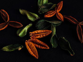 High angle view of fruits and leaves on table