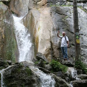 Man standing on rock in forest