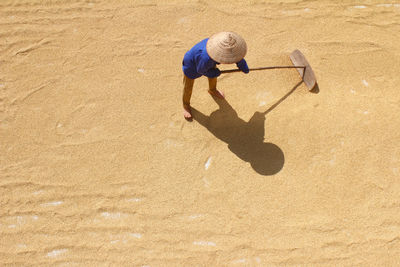 High angle view of farmer working on harvested grains