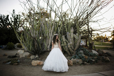 Teenage girl wearing gown while standing against cactus in garden during quinceanera at sunset