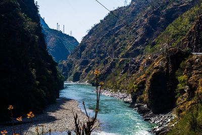 Scenic view of trees against sky