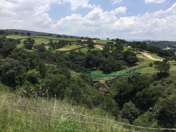 Scenic view of trees on field against sky