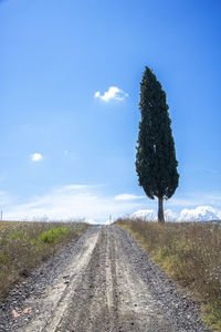 Dirt road amidst plants on field against sky