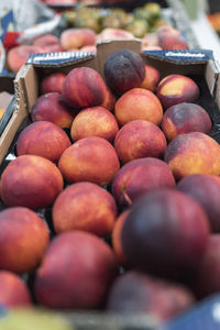 Close-up of fruits for sale at market stall
