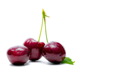 Close-up of strawberry against white background