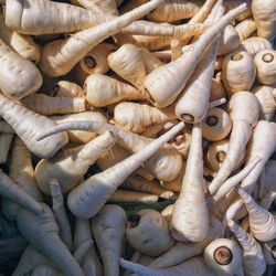 Close up filled frame photo of parsnips