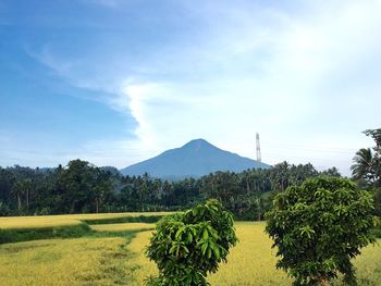 Scenic view of landscape against cloudy sky