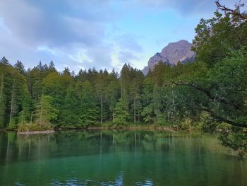 Scenic view of lake by trees against sky