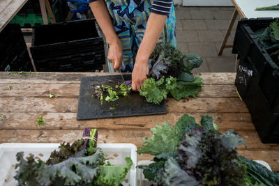 Midsection of person gardening