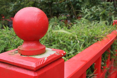 Close-up of red object