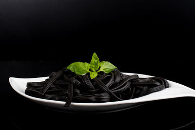 Close-up of leaves in plate against black background