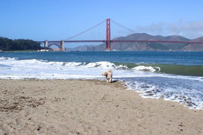 View of golden gate bridge over sea